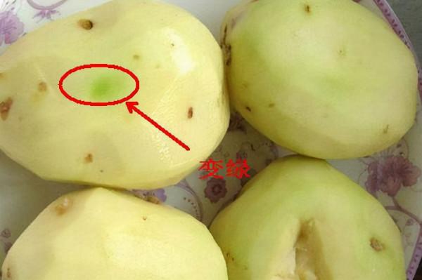 生活中,這些東西不能吃,有劇毒 生活中,這些東西不能吃,有劇毒