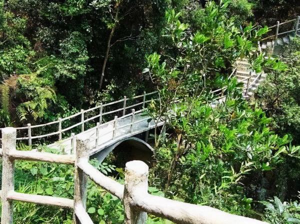 廣東大峽谷:天坑地縫!大自然的鬼斧神工 廣東大峽谷:天坑地縫!大自然的鬼斧神工