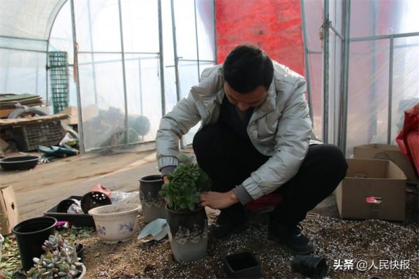 “多肉王子”宋凱的幸福生活