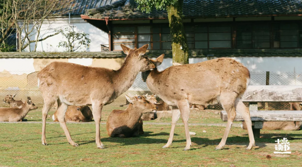 你周圍的三個人，決定了你的人生走向