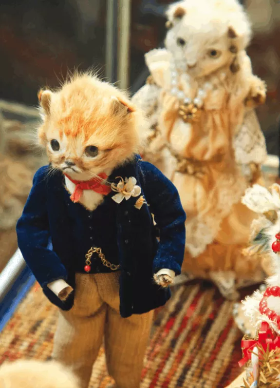 貓咪去世後被主人做成無人機，貓：沒想到死後還有一劫...