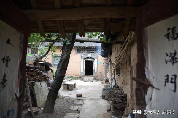 野豬賴上舊屋跟村民做鄰居，山裡人略施計謀，兇猛野豬變溫順家畜