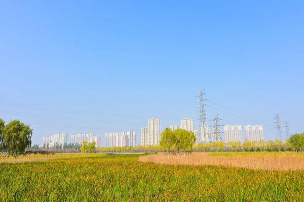 獨一無二！公園裡也能跑火車！京西這處免費的森林公園，值得玩