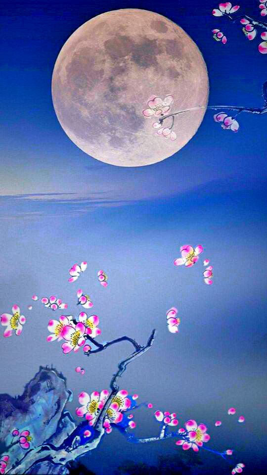 「原創」中秋感懷