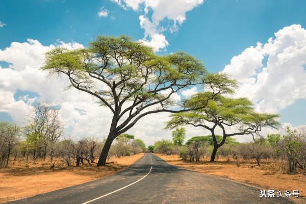 兒時的記憶 兒時的記憶