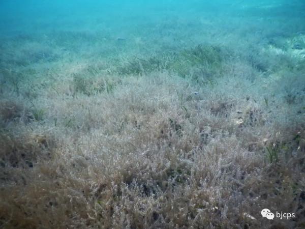 塞班島:為什麼美國唯一把這塊國土對中國人免籤? 塞班島:為什麼美國唯一把這塊國土對中國人免籤?