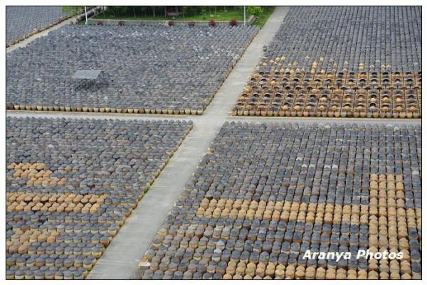 廈門島外6萬缸醬油，頭戴斗笠列隊，這樣的陣仗你見過嗎？