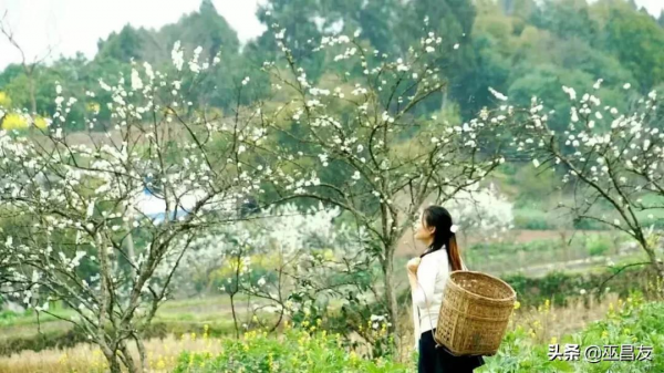 你知道東部新區草池鎮什麼時候趕場嗎？今天帶你穿越時空去看一看