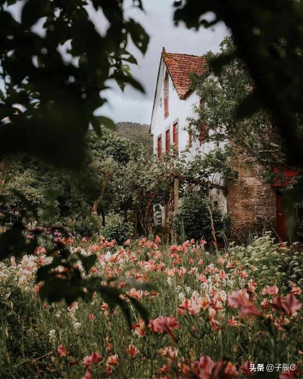 四宮冥王天蠍的救贖在哪裡？