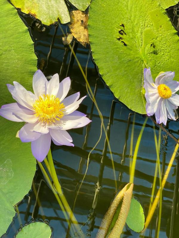 北京週末去哪兒?冬天室內遊玩遛娃的好地方!門票只要10塊錢 北京週末去哪兒?冬天室內遊玩遛娃的好地方!門票只要10塊錢