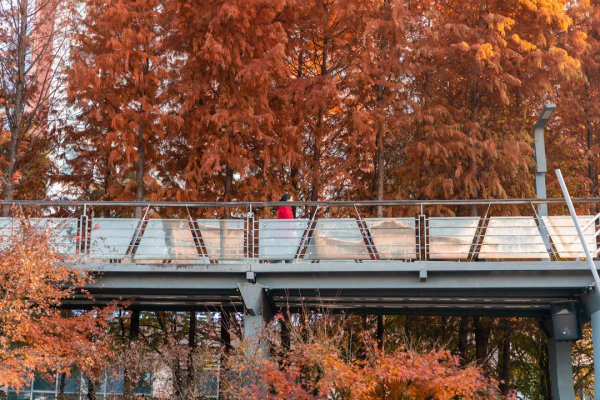 嗨，想和你一起看鹿城冬日限定美景