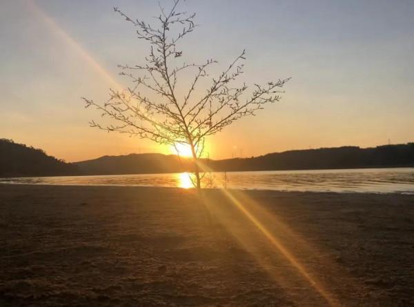 道德經 第八章 老林白衣師父的講解《上善若水～…》