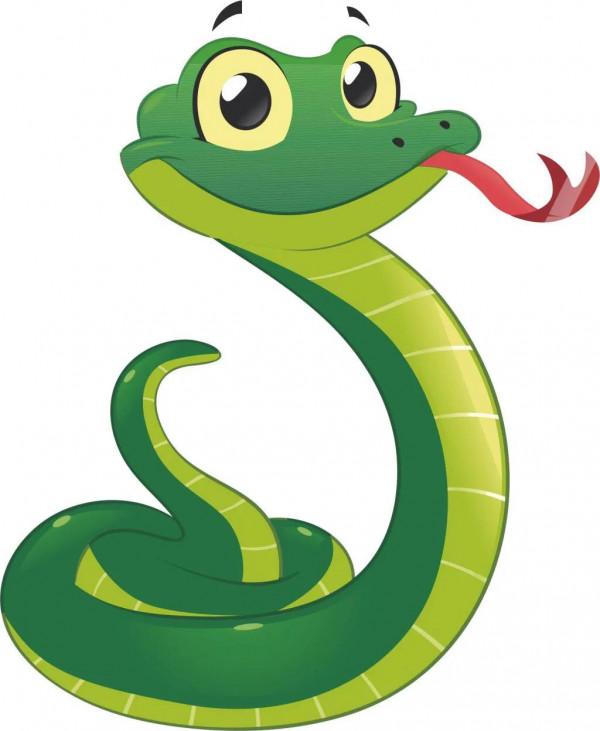 家蛇為什麼不能打？家裡進蛇如何處理？