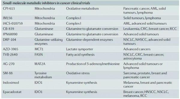 Nature綜述:百年積累,靶向癌症代謝的新藥開發如何迎來突破? Nature綜述:百年積累,靶向癌症代謝的新藥開發如何迎來突破?
