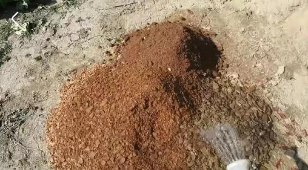 別再把榨油的油餅賣了,油餅可是最好的有機肥,肥效比雞糞還好 別再把榨油的油餅賣了,油餅可是最好的有機肥,肥效比雞糞還好