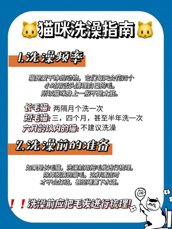 鏟屎官按照這八個步驟，你家貓咪秒變乖