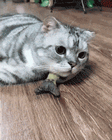 影視作品的口碑靠比爛 影視作品的口碑靠比爛