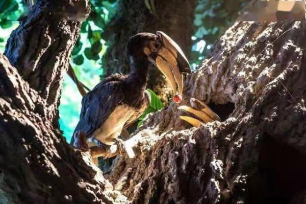 生活在地球上的我們,知不知道動物這10種特殊繁衍方式 生活在地球上的我們,知不知道動物這10種特殊繁衍方式