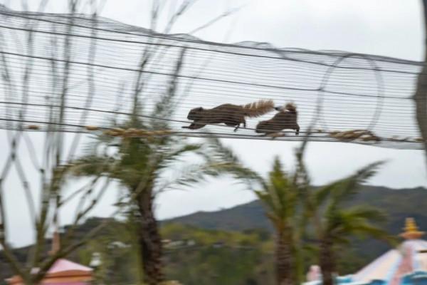 溫暖過年嘉遊贛 &vert; 【虎年添&OpenCurlyDoubleQuote;福&rdquo;氣！】春節怎麼玩？賽石城&CenterDot;花樂園給你不一樣的春節體驗~