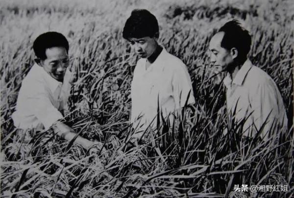 世界糧食日，這些歷史你應該要了解