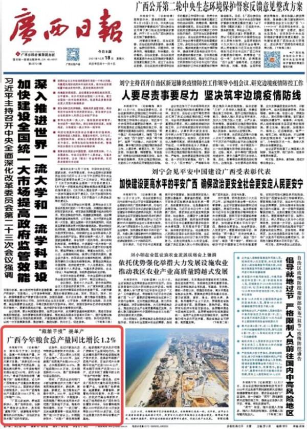 “藏糧於技”提單產！廣西今年糧食總產量同比增長1.2%