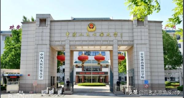 考大學最讓父母省心的4個專業方向，穩定就業好，讓人羨慕