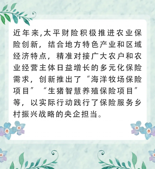 為鮮花保“價”護航，中國太平助力雲南打造特色產業