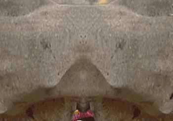 勸年輕人過年別碰砂糖橘,不然真停不下來 勸年輕人過年別碰砂糖橘,不然真停不下來