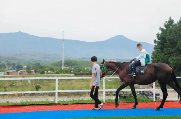 漫步鄉村，慢生活······