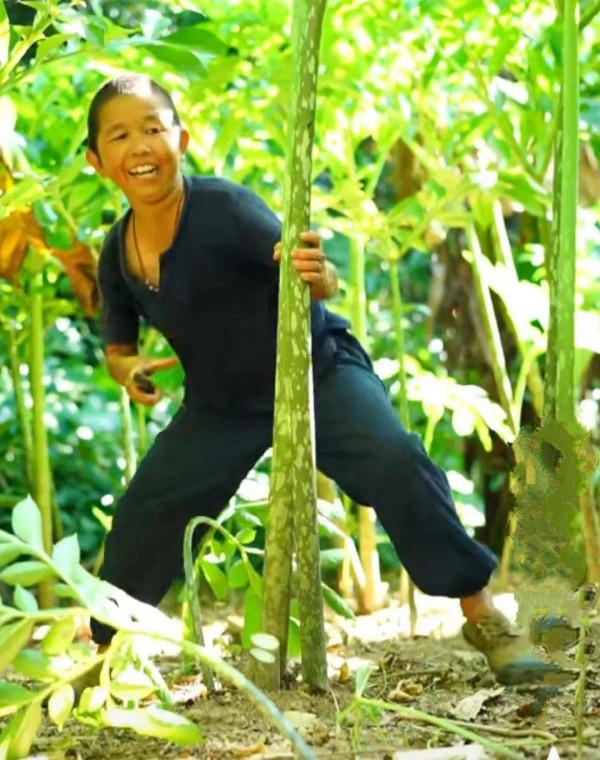 廣西50歲袖珍人,身高1.3米,卻年收入上百萬,憑啥? 廣西50歲袖珍人,身高1.3米,卻年收入上百萬,憑啥?