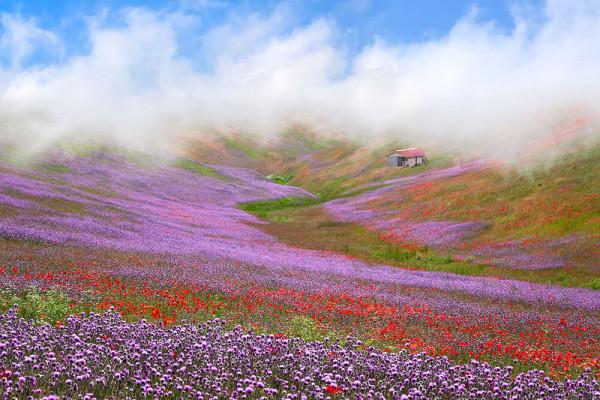 36張圖看精彩世界，巴西情侶被搶，男友撒腿就跑，女子仍淡定吃飯
