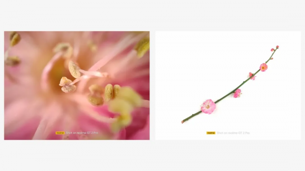 真我GT2 Pro影像測評：年輕人也可以玩得起的顯微鏡和魚眼鏡頭拍攝