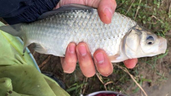 冬季釣不到魚別怪天氣不好，注意這幾點，再冷的天也有魚口
