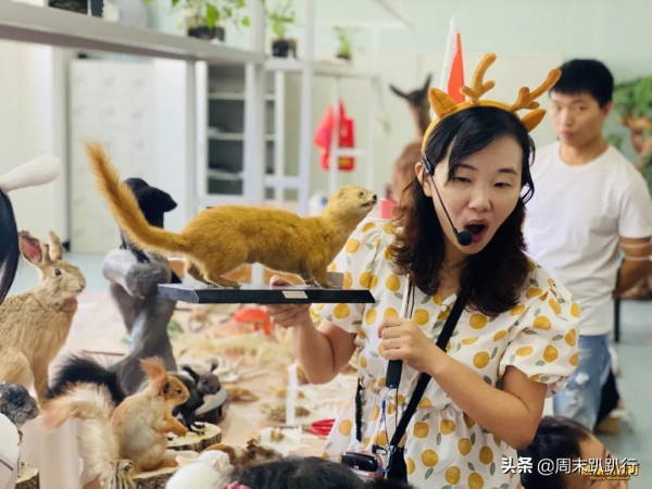 親子打卡!科學探索,細菌好有趣啊,參觀1000+件標本 親子打卡!科學探索,細菌好有趣啊,參觀1000+件標本