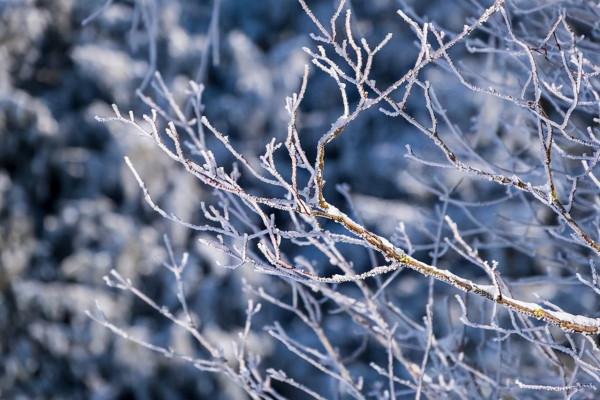 累了的時候，就默唸這三句話