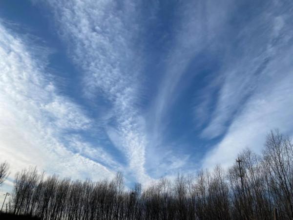 一頭“北方的狼”