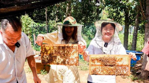 攜初心出發《土味食話》為鄉村振興打call 攜初心出發《土味食話》為鄉村振興打call