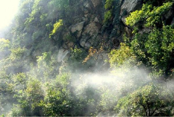 河南這個與5A景區同名的奇山，方圓8萬畝僅一個出口，景美門票30