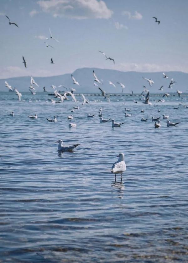 中國十個最浪漫的景區，蜜月首選地