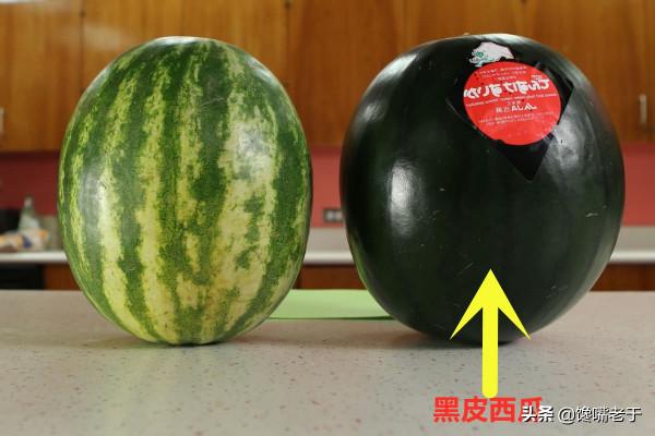 挑西瓜別拍來拍去惹人笑,看準這2點,又沙又甜,瓜販也不得不服 挑西瓜別拍來拍去惹人笑,看準這2點,又沙又甜,瓜販也不得不服