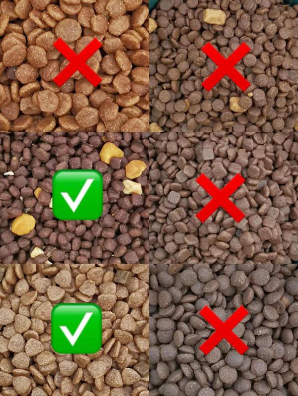 狗狗挑食怎麼辦，那可能是餵了“毒”狗糧