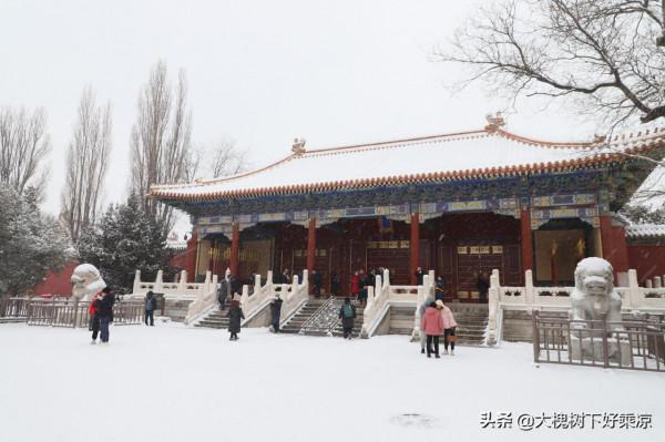 景山壽皇殿，被低估的雪景拍攝地，沒有約到故宮，來這裡