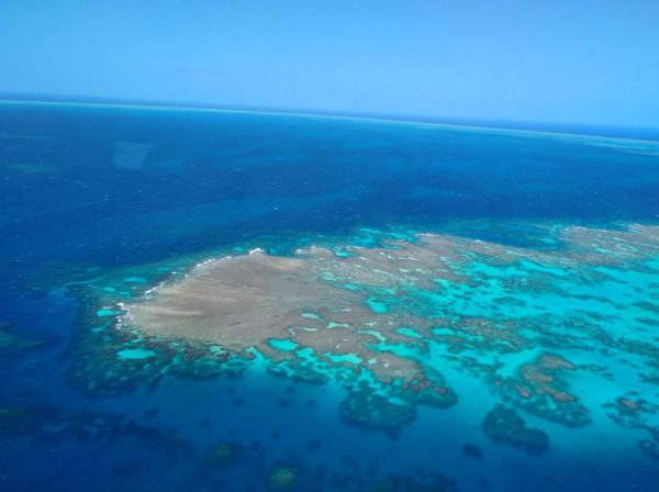 坐著直升機，空中鳥瞰澳洲大堡礁