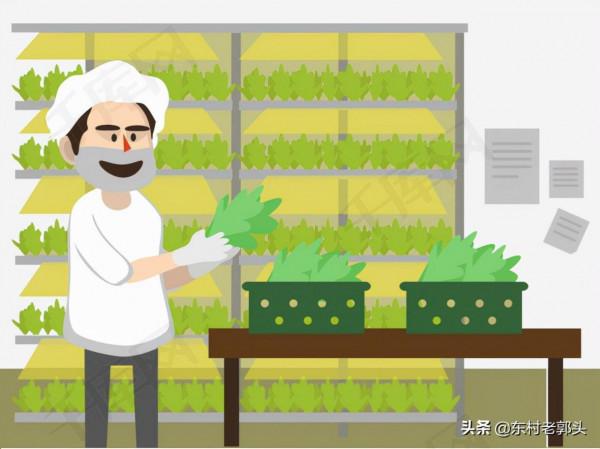 10月,村民種地成本上漲,農藥和化肥價格上漲,怎麼回事? 10月,村民種地成本上漲,農藥和化肥價格上漲,怎麼回事?