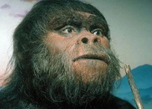 百萬年前的社交必需品——眉毛進化史