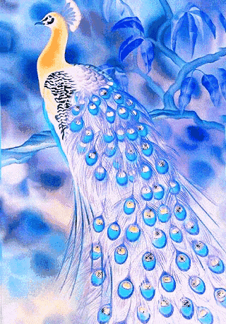 人生最美幾何時 看見孔雀和鳳凰 雙福來襲