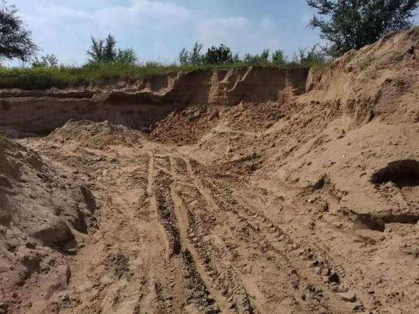 “戈壁西瓜”危害有多大？年營收20多億的硒砂瓜，為何被區域性禁種