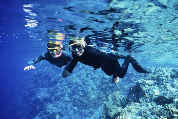 高鐵0.5h、物價只有一半，我願稱她為三亞最強備胎