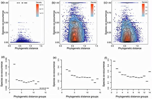 動物所等揭示亞熱帶森林植食性昆蟲共現機制