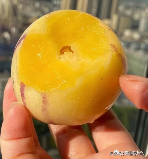 網友評選出“最難吃的水果”，你吃過幾種？